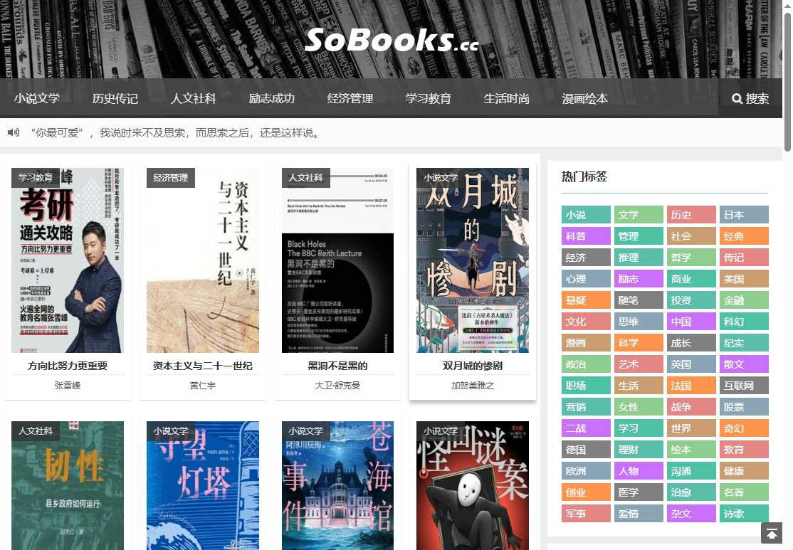 SoBooks 网站截图