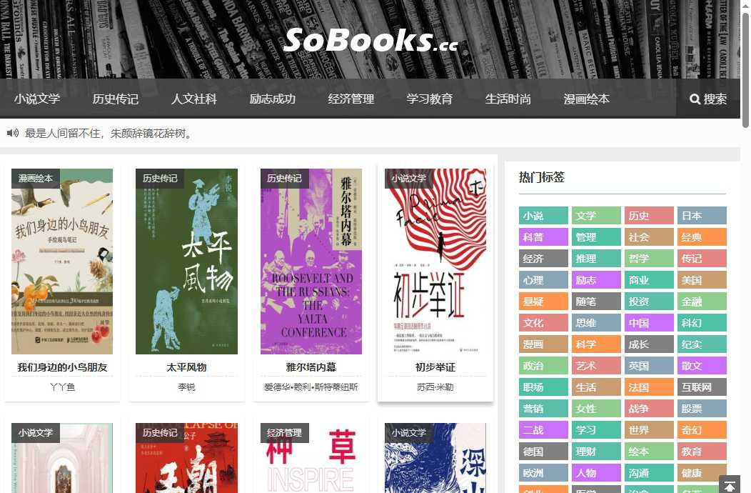 SoBooks 网站截图