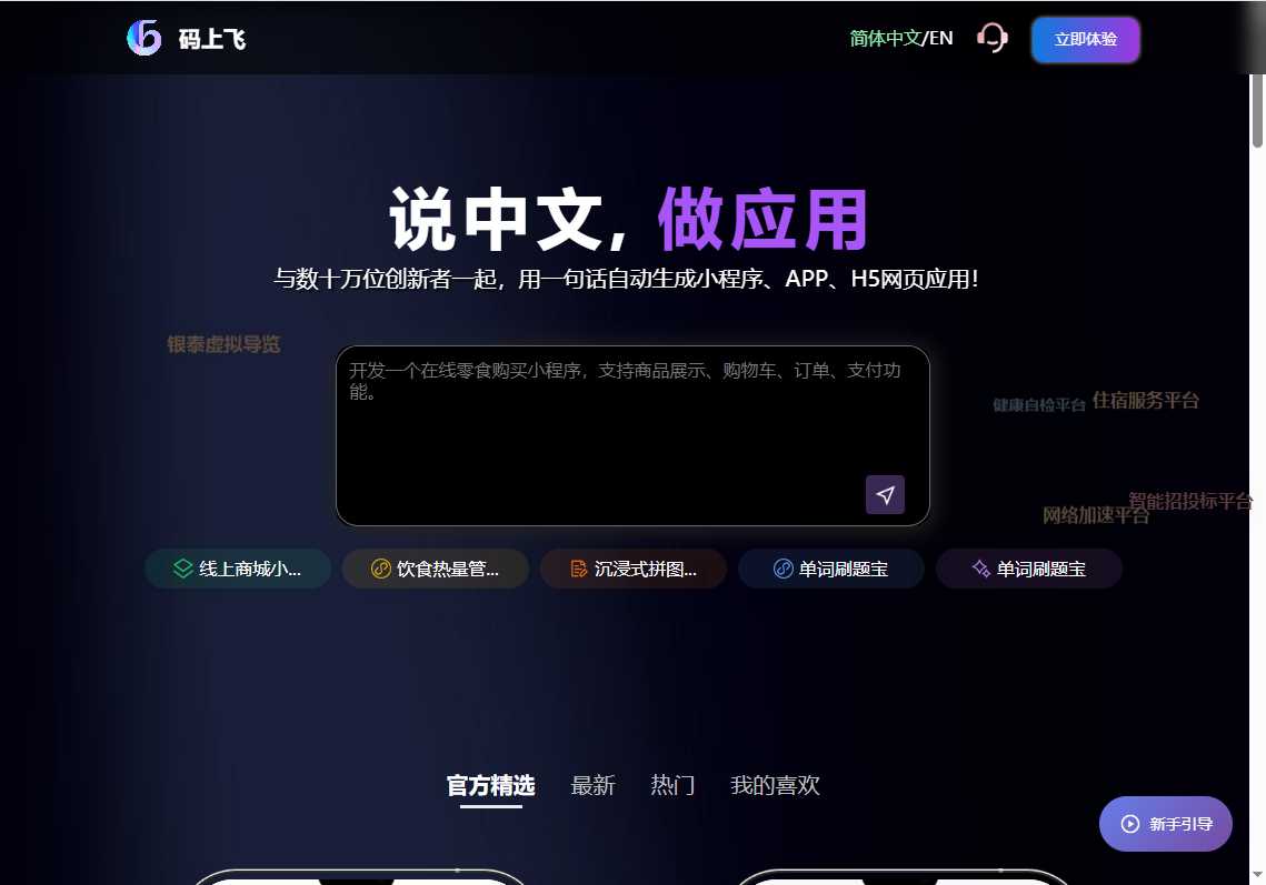 码上飞 网站截图